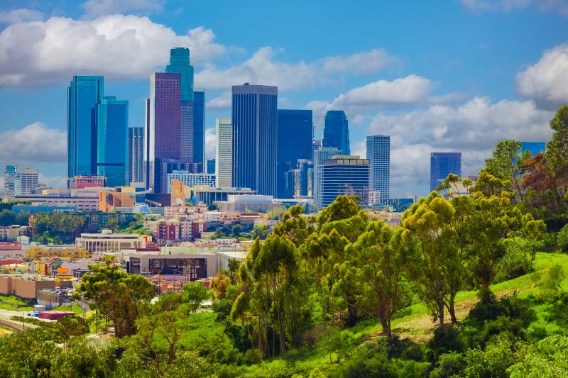 Hero for Home Services Options